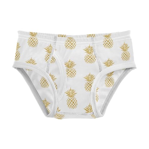 Boys' Exclusive Briefs Toddler Underwear 95% Combed Cotton Boxerbriefs 2T Pineapple Pattern 100