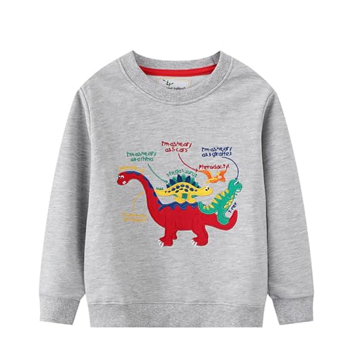 Boys Sweatshirts Casual Sweatshirts Cotton Sweatshirts Long Sleeve T-shirts Crew Neck Cartoon Tops for Boys-78