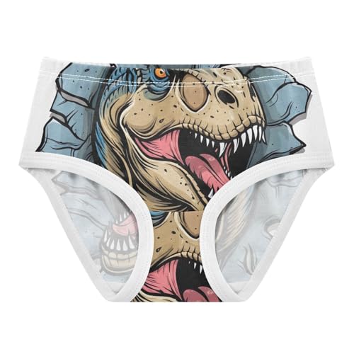 Toddler Underwear Floral 2t Cotton Little Girl Panties Fun Underpants Briefs Funny Dinosaur White