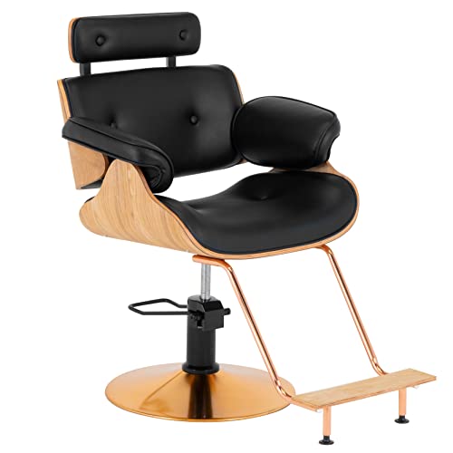 Onof Silla Profesional Premium para Peluquería y Salón de...