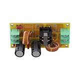 Deskbloom Industrial DC LC Filter 10A/20A 50V For EMI Electromagnetic Interference Filtering In Automotive And Motorcycle Power Applications(2A)