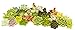25 Succulent ROSETTE style CUTTINGS great for Vertical Gardens, Weddings and Wreaths