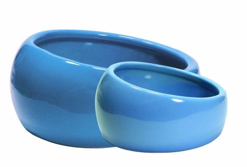 Living World Ergonomic Food Dish, for Small Animals, Blue, Small, 4.22oz, 61682A1
