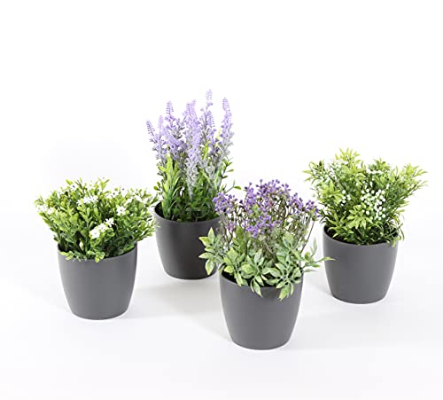 Conjunto de 4 macetas Grises con Plantas con Flores Artificiales para Uso Interior de 18-25cm de Altura, Maceta incluida Cover