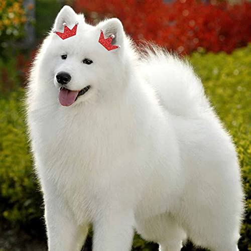 Fzbnsrko 20Pcs Pet Flower Crown Rubber Band Flower Bow Puppy Dog Bow Accessories (Random Color) #TOP3