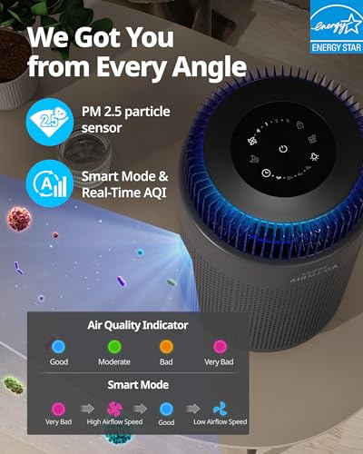Image of COWAY Air Purifiers for Home up to 810 ft, HEPA and Carbon Filter for Smoke, Allergies, Pet Dander, Odor, AQI Monitor, Auto Mode, Timer, Filter Indicator, Night Light, 2yr Warranty, Airmega 100 Black