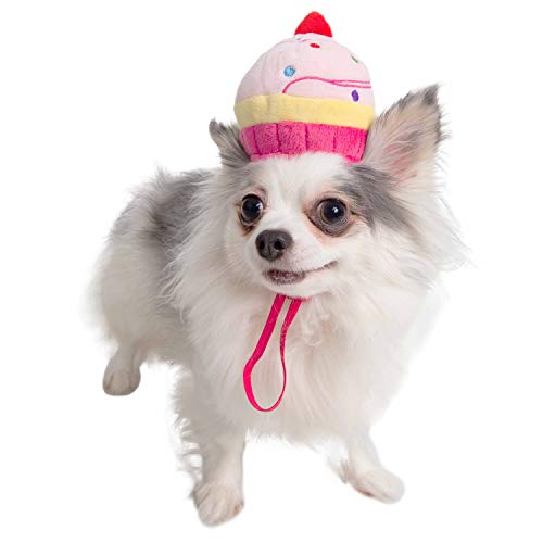 Sombrero cupcake para perro y gato Pet Krewe talla regular