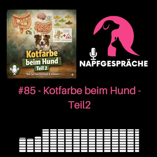 #85 - Kotfarben beim Hund &ndash; Teil 2: Was tun, wenn&rsquo;s nicht besser wird?