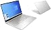 Produktbild Notebook Envy 17-CE - Core i7-1065G7 - 64GB DDR4-RAM - 2000GB SSD + 2TB HDD - Windows 10 - 44cm (17.3") Full HD Display
