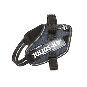 Julius-K9-Dog-Harness Julius-K9 Dog Harness