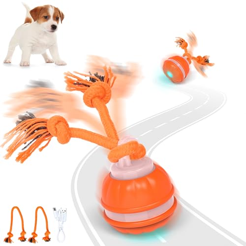 IOKHEIRA Dog Ball, Interactive Dog Toys, Dog Active Rolling Ball, Motion-Activated Fun, smart ball USB Rechargeable, with Two Chew Ropes for Small and Medium Dogs