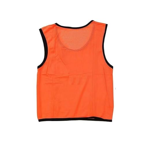 [WbN] ruX qp lp n ԍ 10FWJ [bP bV 30ۏؕt TbJ[ oXP tbgT wZ s  ^ 1 (IW, lp)