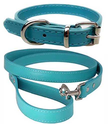 Lebendiges Leder Hundehalsband & Leine Set für Welpen, Hunde Klein, Mittel & Groß (X-Klein (20cm - 26cm Hals), Türkis)