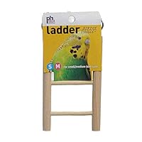 Algopix Similar Product 14 - Prevue Pet Products Birdie Basics Wood
