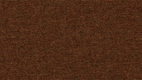 Tretford Teppichboden Interland 2 Meter Breit vorgegebene Größen Farbe 573, Größe 300cm