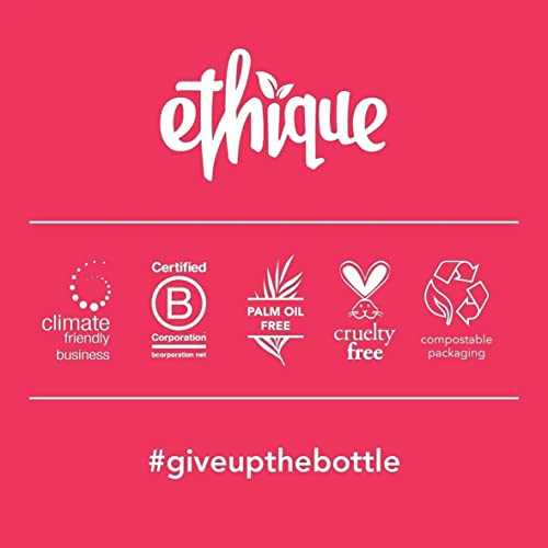 Ethique Gingersnap Gentle Solid Face Scrub - Exfoliating Face Cleanser For All Skin Types - Plastic-Free, Vegan, Cruelty-Free, Eco-Friendly, 3.53 Oz (Pack Of 1) #TOP4