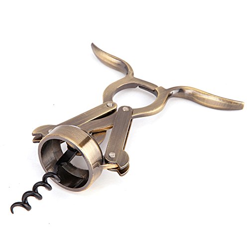 KJOET CI[vi[ RN O^CvI g  j//蕨 (EBhE)