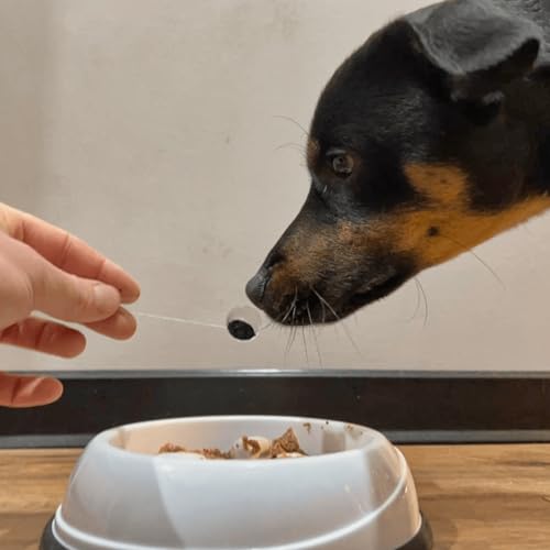 Futterkohle für Hunde (2000g) – ohne Zusätze | von keep it grün | perfekte Körnung zur Futterbeigabe | kann Schad- und Giftstoffe binden | rein pflanzlich