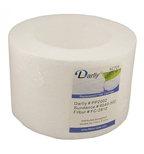Spa Filter (PP2002/fc-2812/6540-502)