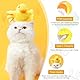 Interaktives Katzenspielzeug Elektrisches Katzenspielzeug Selbstbeschäftigung, Katzenminze Spielzeug Katzenspielzeug Interaktives Spielzeug für Katzen, Katzen Spielzeug Kitten Cat Toys for Indoor Cats