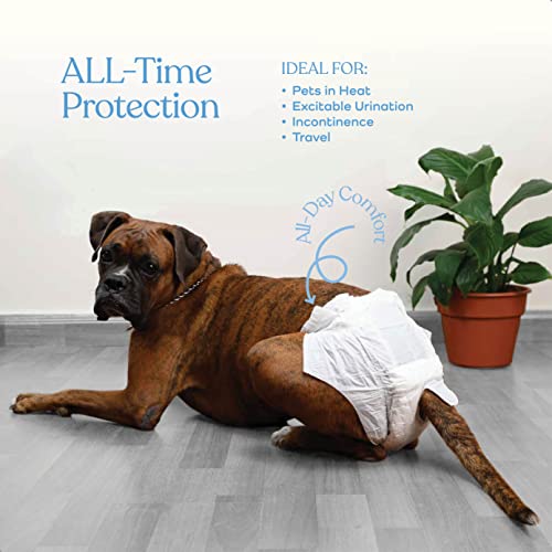 Image of Comfortable Female Dog Diapers - 24-Pack Super Absorbent Disposable Doggie Diapers - FlashDry Gel Technology & Wetness Indicator - Leakproof Diapers for Dogs in Heat, Excitable Urination, Incontinence