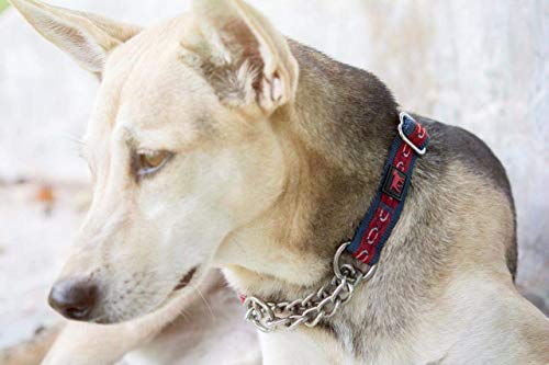 Tuff Pupper Martingale Collar For Dogs Is Perfect For Training | No Pull Dog Collar With Adjustable Gentle Nylon & Steel Chain | Convenient Sizing For All Breeds #TOP5