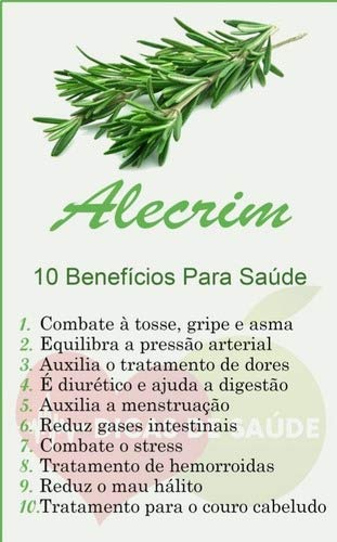 Oleo Essencial Rosemary Alecrim 5 Ml Doterra