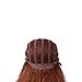 Yilys Long Curly Gradient Color Wig With Braid (Brown)