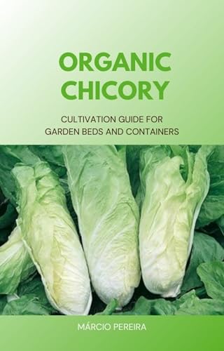 Organic Chicory: Cultivation Guide for Garden Beds and Containers