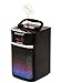 Sykik Bluetooth Portable Speaker with Light Show, Powerful Power Output, SD USB, Remote & Carrying Case, 6W