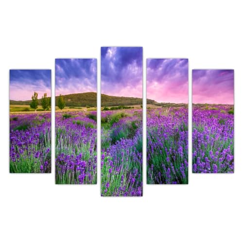 AREDE Set di 5 Stampe da Parete Quadri Moderni Decorazioni da Muro per Casa Soggiorno Camera da Letto e Cucina Campo di lavanda| 120 x 80 cm | Pronto da appendere