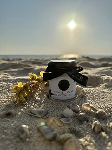 Image of Mini Scented Candles (Marine Melody and Vanilla Musk) - Luxury Soy Wax Candle, 15+ Hours Burn time, Unique Scented Candles for Home