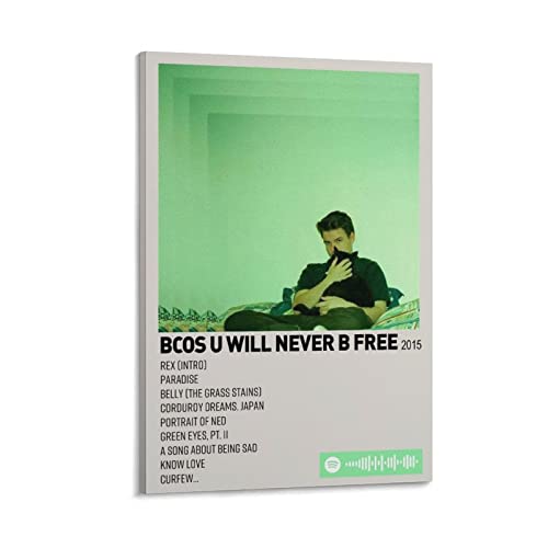 Poster Rex Orange County déco salon et chambre grand format toile 60 x 90 cm