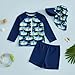 Toddler Boys Rash Guard Swim Set, Long Sleeve Turtle Print T-Shirt with Shorts and Hat Swimwear (Blue, 3-4 Years)