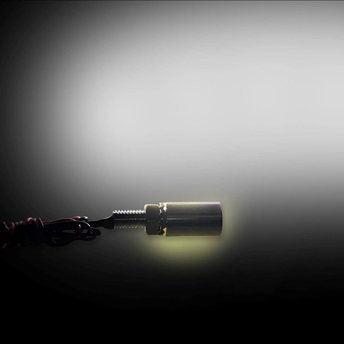 Custom Dynamics LED Tag Bolts with White License Plate LEDs - Chrome