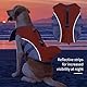 HEYWEAN Hundeschwimmweste Hai Schwimmweste Hund Klein Mittel Groß Rettungswesten für Hunde Schwimmhilfe für Pool Strand Bootfahren Schwimmweste mit Rettungsgriff Hohe Sichtbarkeit Hunde Schwimmwesten