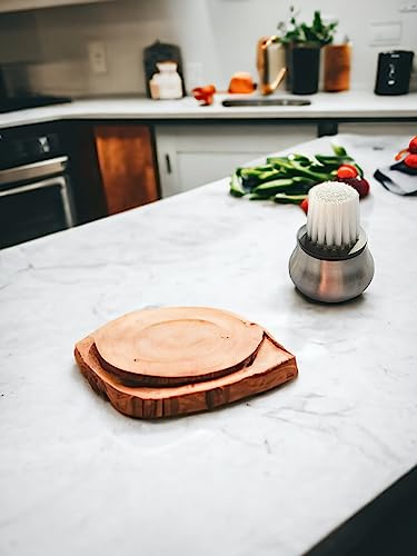 Provance Pilzbürste mit Edelstahlgriff 4,5 cm Umfang Weiche Borsten zur sanften Reinigung Reinigungsbürste Schmutzbürste Champignons Leicht zu reinigen Silber Edelstahl Hygienisch