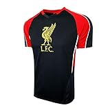 Liverpool Jersey for Adults