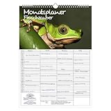 Contenido: 1 planificador de pared, calendario de pared en A3, formato vertical (29,7 cm x 42,0 cm) con mucho espacio para notas y citas, además 1 etiqueta de regalo