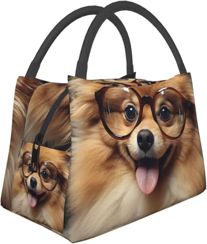 fM`obO Y fB[X lp ėp\ȃ`{bNX |jA  ዾ Rh~ N[[obO e t[h`Rei `g[gobO ItBX[N/sNjbNp