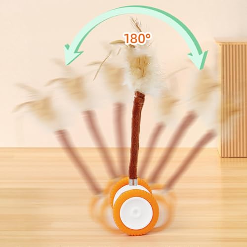 Jouet électrique pour chat intérieur exercice enrichment et stimulation
