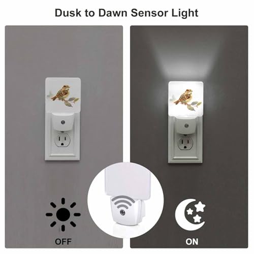 Image of LED Night Light Plug into Wall with Dusk to Dawn Light Sensor White Energy Efficient Baby Sparrow Bird Nightlight for Bedroom Bathroom Hallway Living Room Kitchen