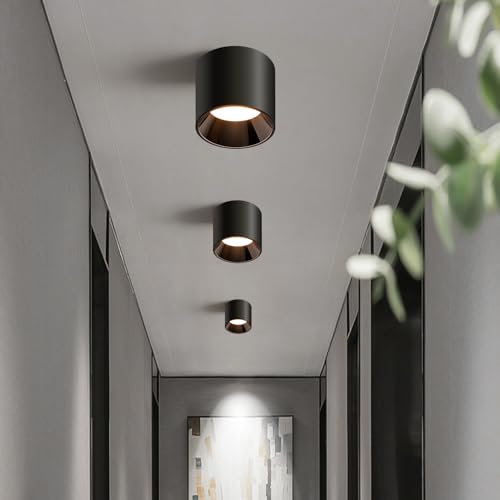 OKELI Hallway Light Flush Mount Modern LED Ceiling Light Fixtures