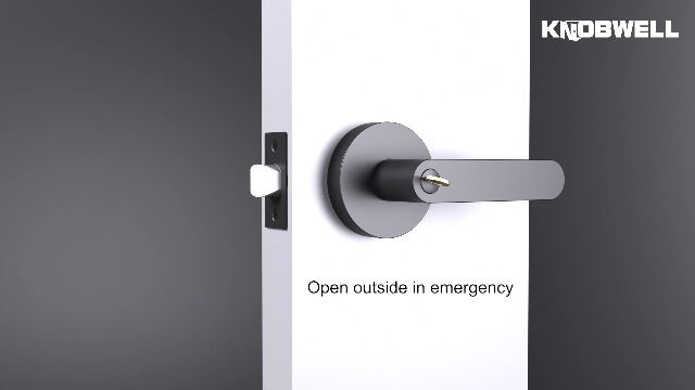 KNOBWELL 10 Pack Heavy Duty Door Lever Lock Privacy Martinique - View #3