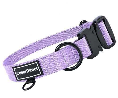 Image of Heavy Duty Waterproof Dog Collar, Double-Layered Nylon (Lilac, 14-20) | Adjustable heavy-duty collar for medium /large dogs; rugged double-layered nylon built to handle active, daily wear and tear