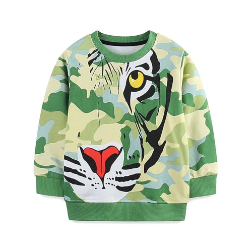 Boys Sweatshirts Casual Sweatshirts Cotton Sweatshirts Long Sleeve T-shirts Crew Neck Cartoon Tops for Boys-253