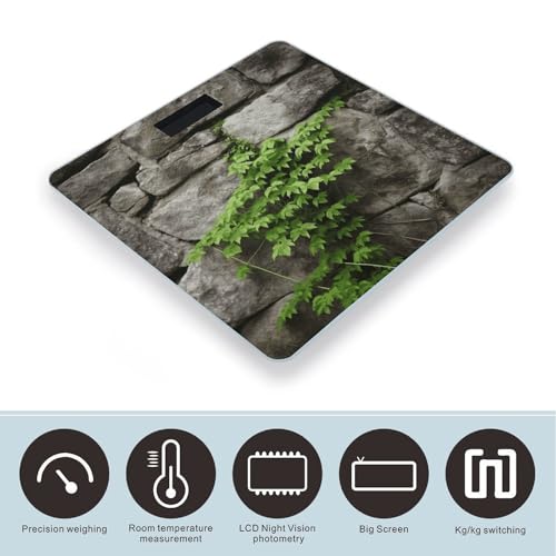 Báscula Digital de Baño Plant on Stone Wall con Pantalla Grande miniatura 3