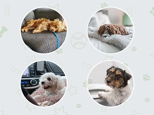 image for COCOYO Dog Training Pads丨Carbon Absorb Eliminating Urine Odor Puppy 