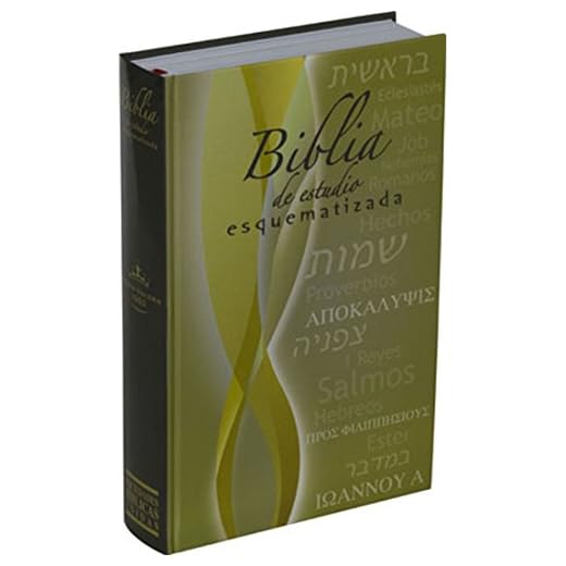 Biblia de Estudio Esquematizada / Schematic Study Bible (Spanish Edition)