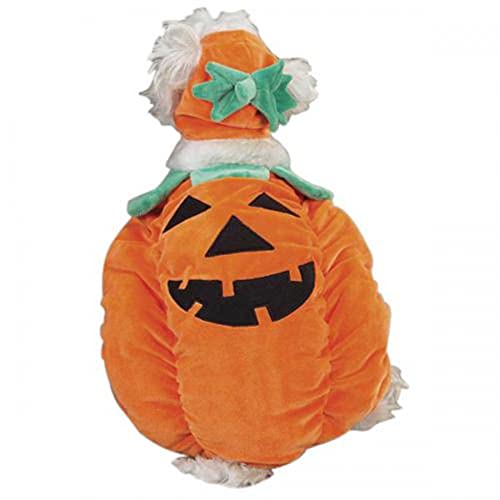 Zack & Zoey Pumpkin Pooch Costume, Medium Orange